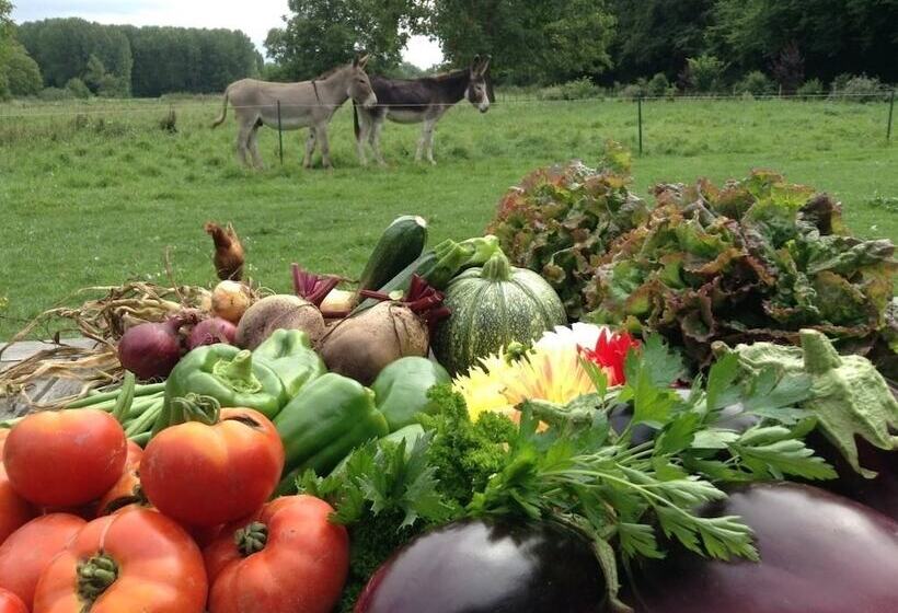 住宿加早餐  La Ferme Des Isles