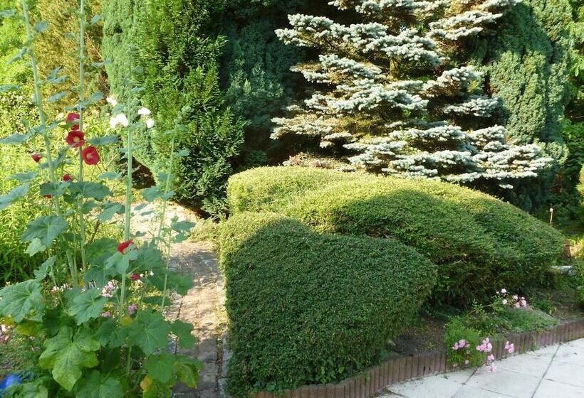 Bed and Breakfast La Rose Trémière