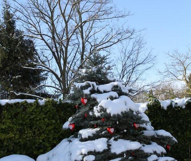 Bed and Breakfast La Rose Trémière