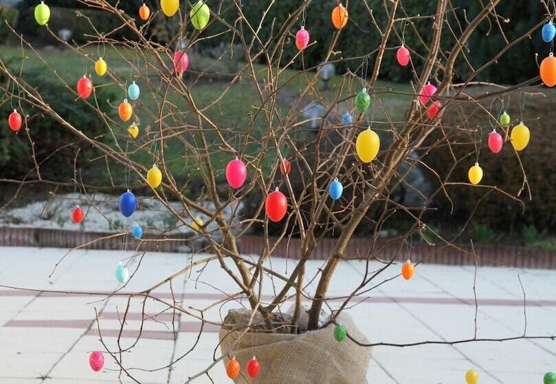 Bed and Breakfast La Rose Trémière