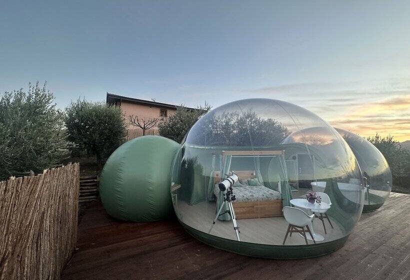 مبيت وإفطار Villa Ulivi