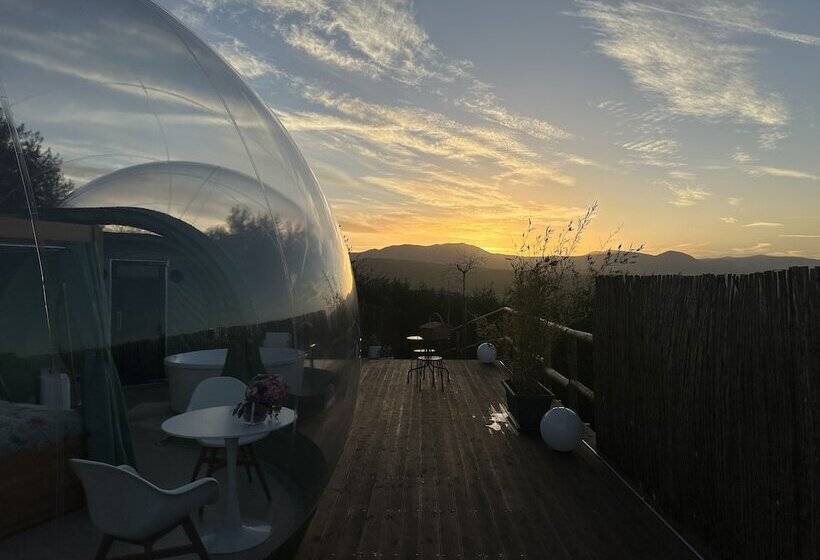 مبيت وإفطار Villa Ulivi