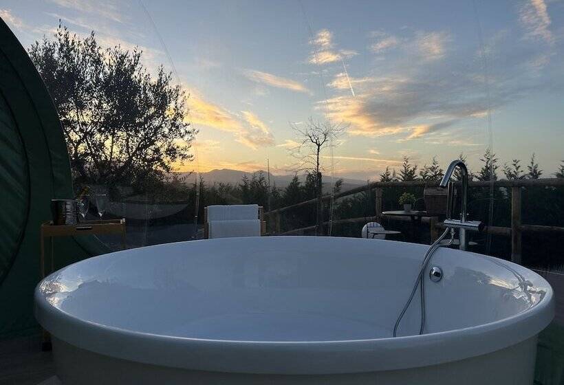 مبيت وإفطار Villa Ulivi