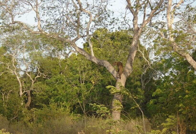مبيت وإفطار Yala Avian Eye Safari