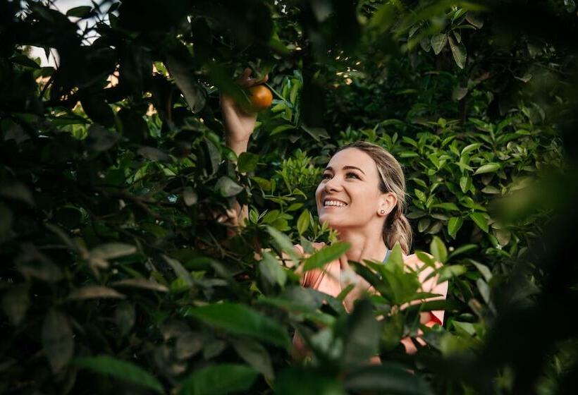 Empedrada Ranch & Lodge Hotel Asociado Casa Andina