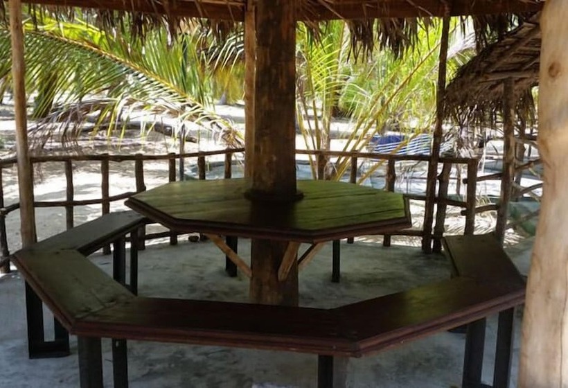 Отель Alankuda Beach Resort