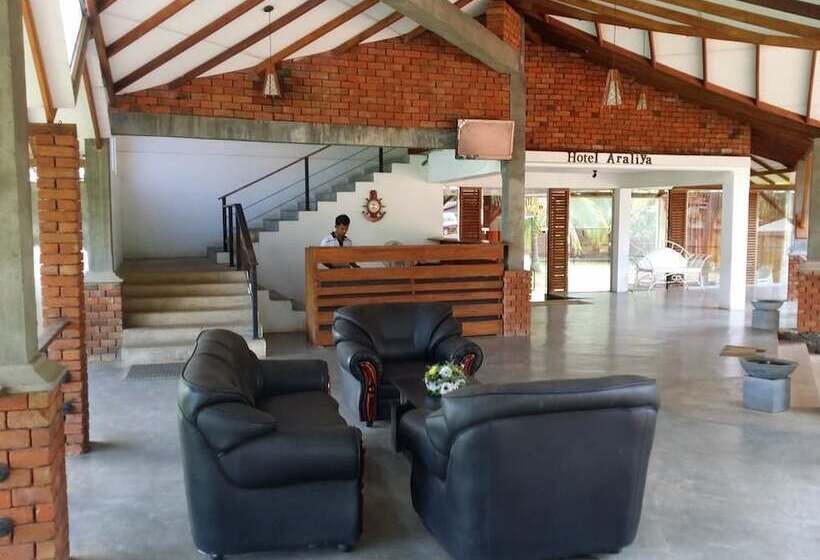 ホテル Araliya