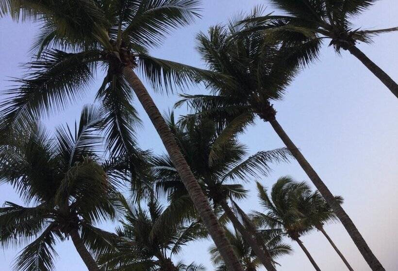 호텔 Arista Bugambilias