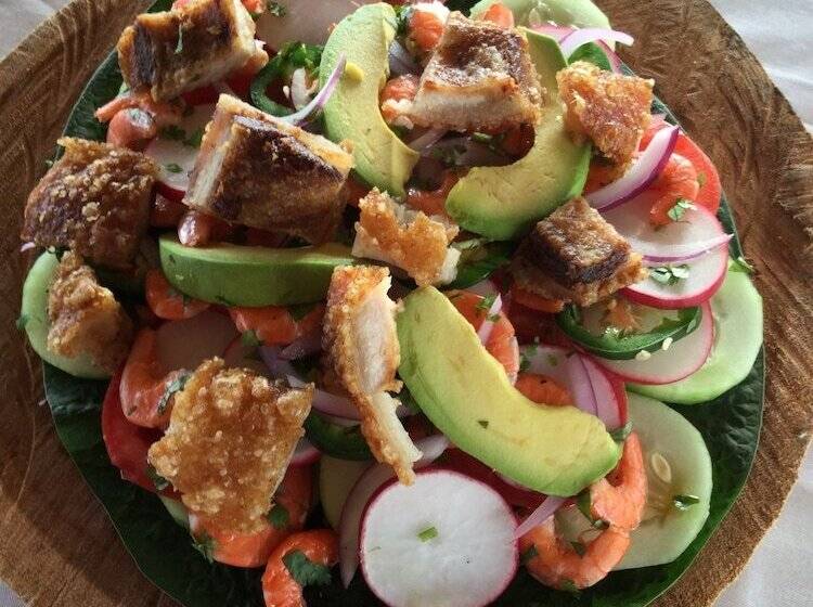 호텔 Arista Bugambilias