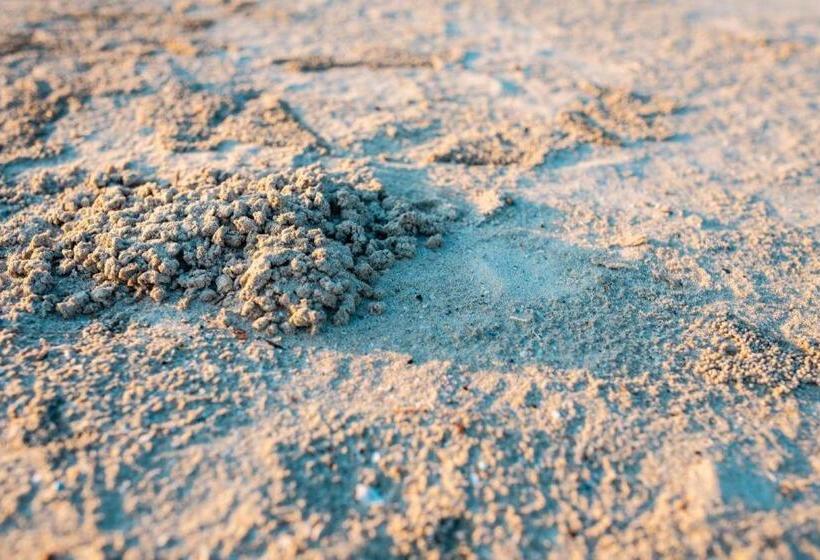 酒店 Baansuan Aokhai Beach Resort