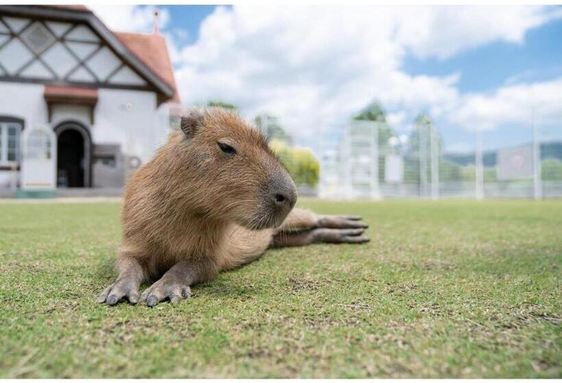 فندق Business Green  Hino