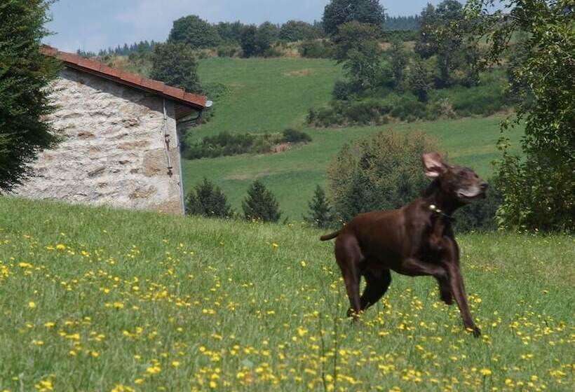 فندق Château Des Marcilly Talaru