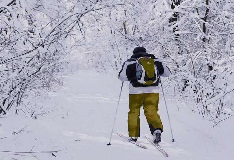 Отель De La Rey