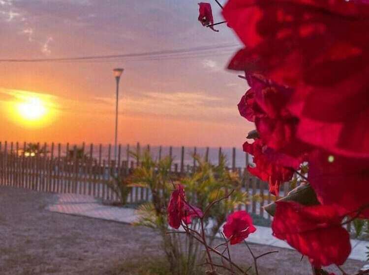 هتل Delfines De Chicama