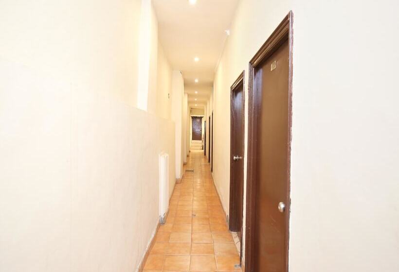 Отель Dream Land Resorts