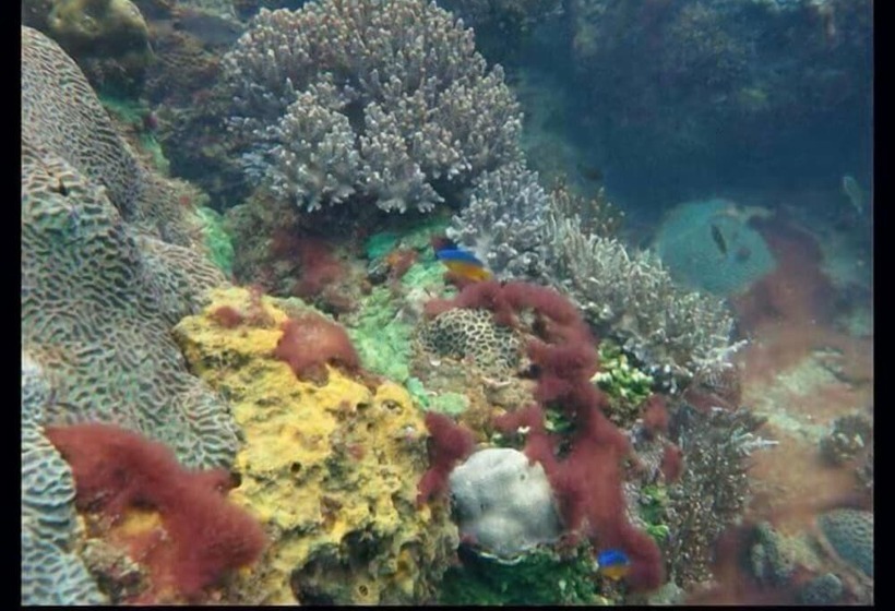 Отель Greenseaviewresort Bangsaphan