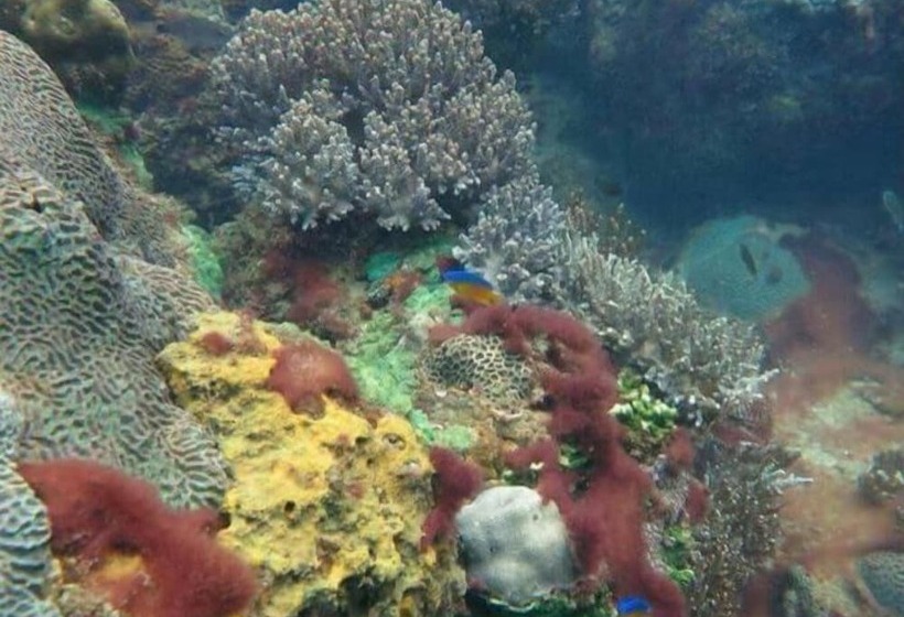 Отель Greenseaviewresort Bangsaphan