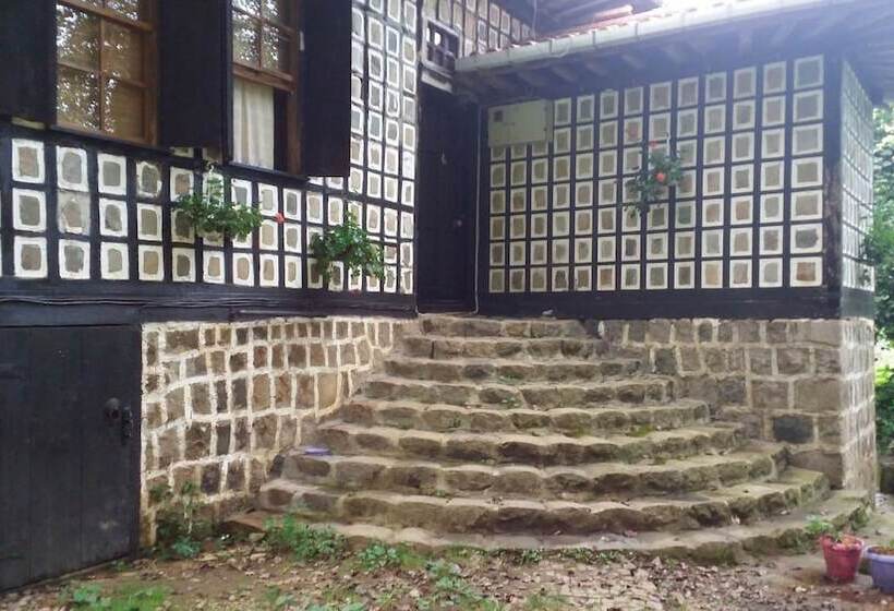 בית מלון כפרי Inceler Konagi