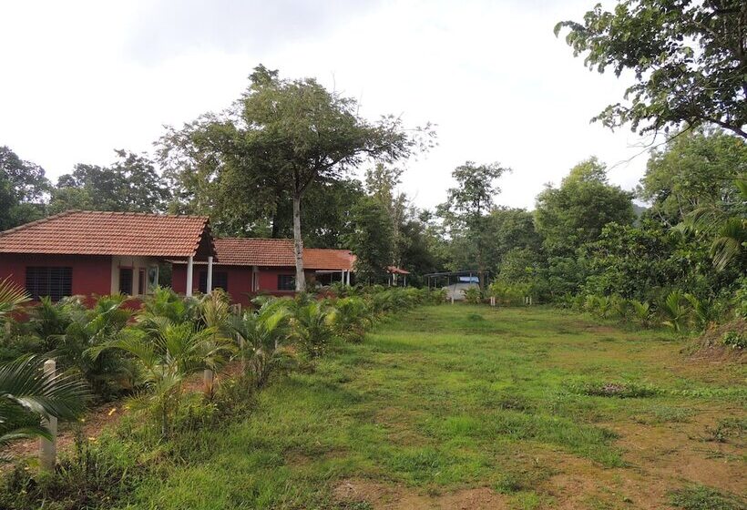 酒店 Jungle Nest Homestay