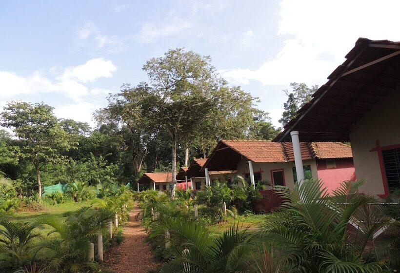 酒店 Jungle Nest Homestay