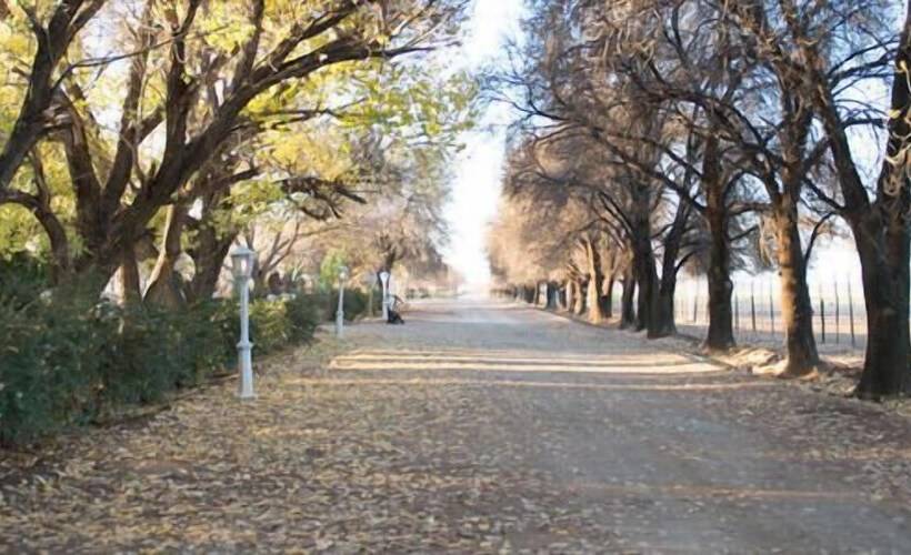 酒店 Karoo Gariep Tented Camp