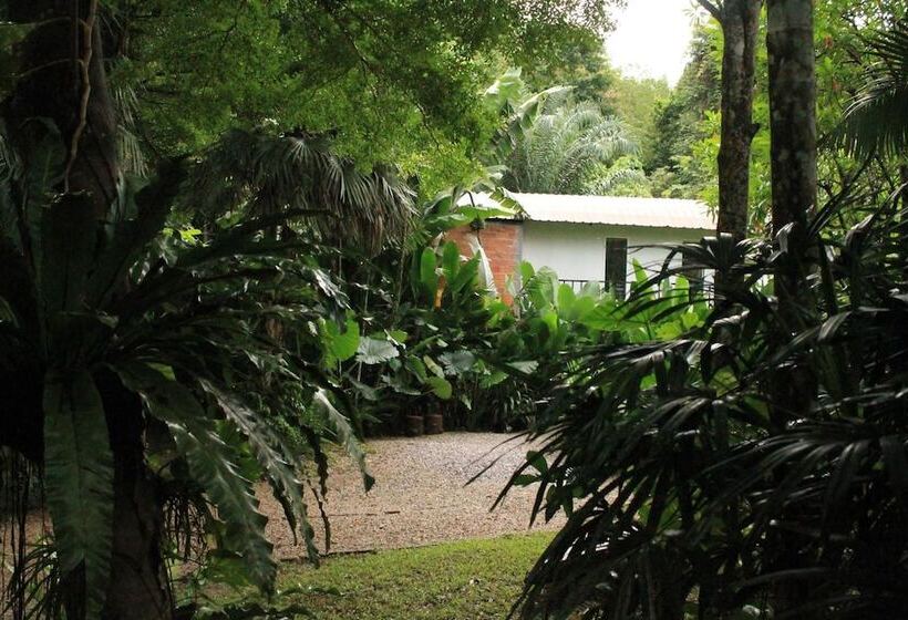 فندق Khaosok River Camp