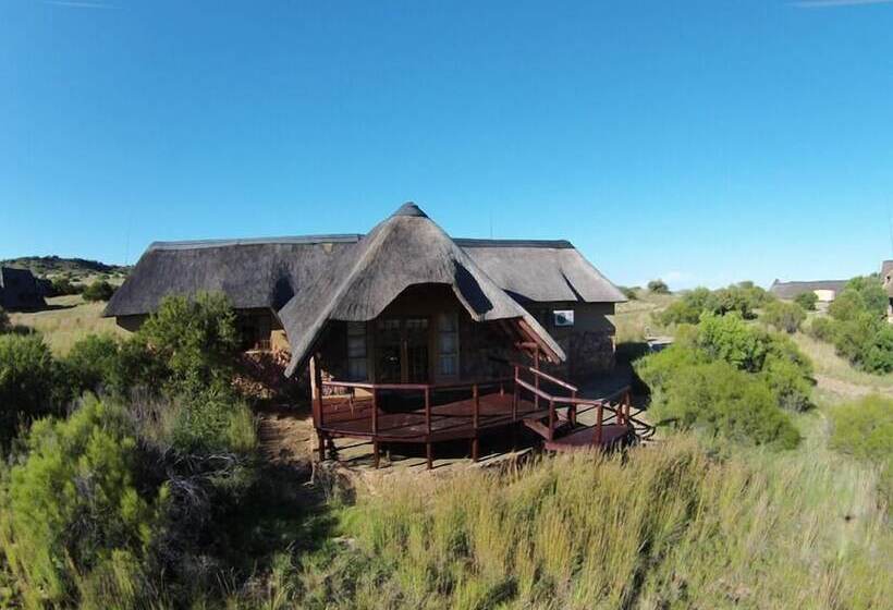 酒店 Letsatsi Game Lodge