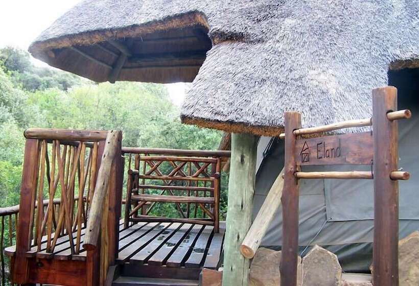 酒店 Letsatsi Game Lodge