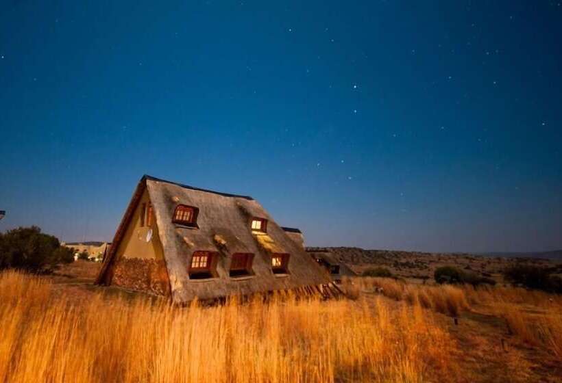 酒店 Letsatsi Game Lodge