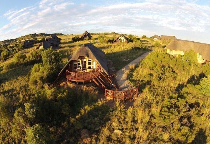 酒店 Letsatsi Game Lodge