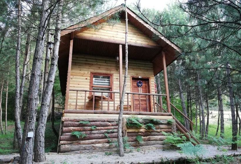 ホテル Mengen Cam Pinari Doga Evleri & Restaurant