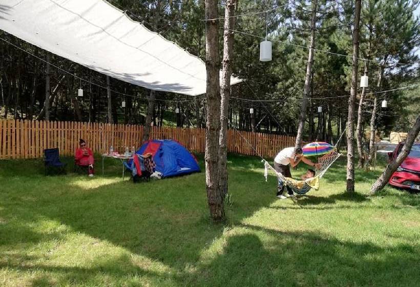 ホテル Mengen Cam Pinari Doga Evleri & Restaurant