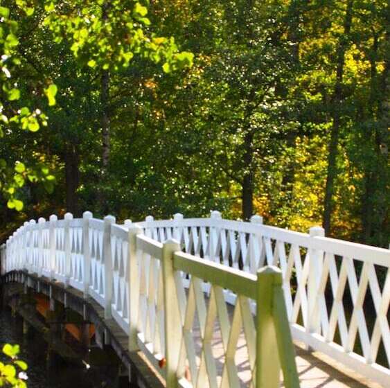 Отель Mustion Linna