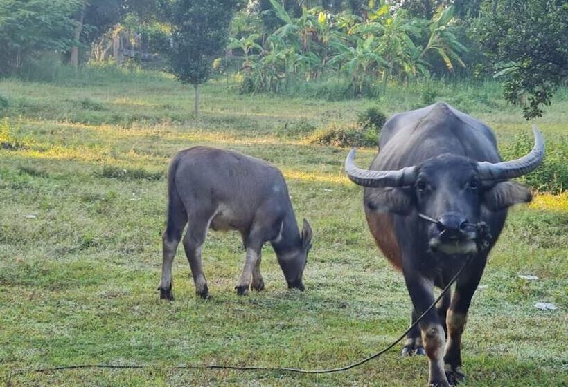 호텔 Natural Park Resort De Wang Thong