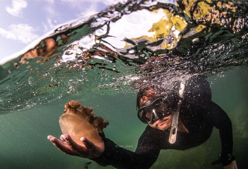 ホテル Noah Maratua Resort