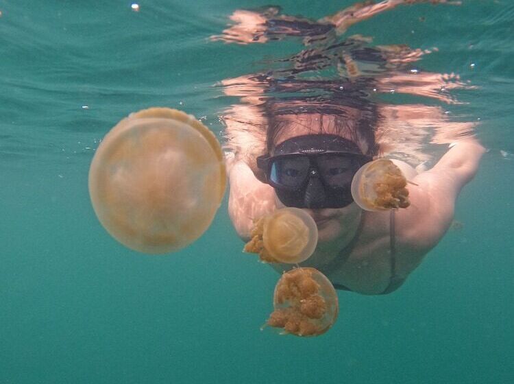 ホテル Noah Maratua Resort