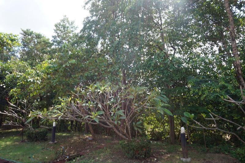 فندق Ratchapreuk Resort