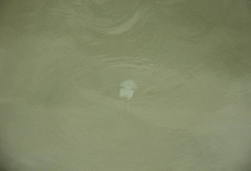 ホテル Regant Lake Palace