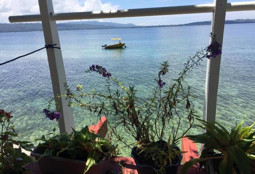 Отель Rene's Diverslounge Resort