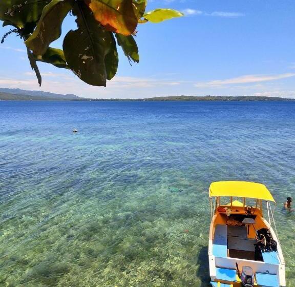 Отель Rene's Diverslounge Resort