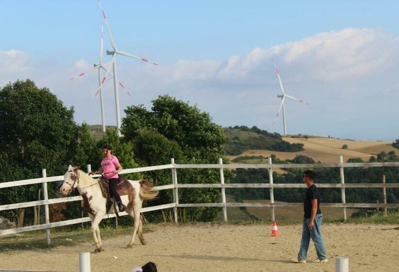 בית מלון כפרי Agriturismo Castello