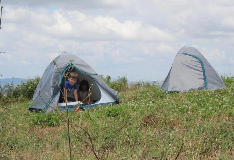 בית מלון כפרי Agriturismo Castello