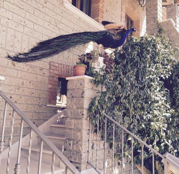 בית מלון כפרי Agriturismo Castello