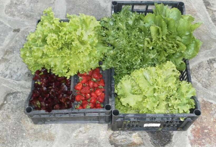 בית מלון כפרי Agriturismo Da Ysy