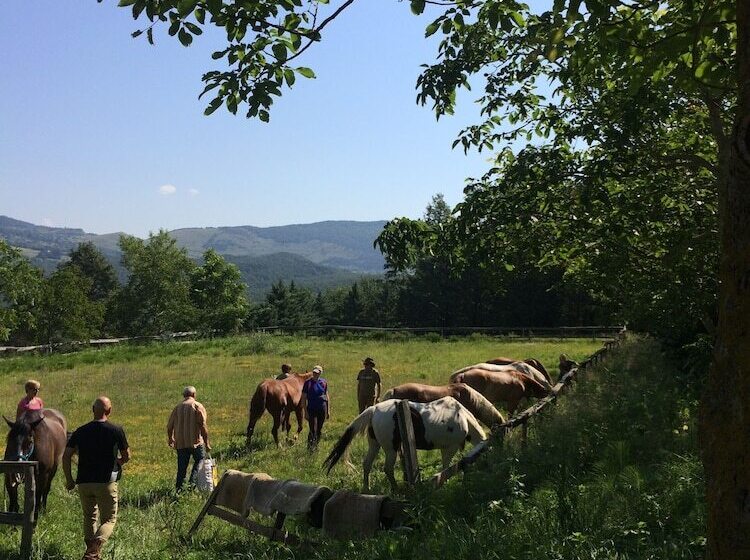 בית מלון כפרי Agriturismo Il Tratturo