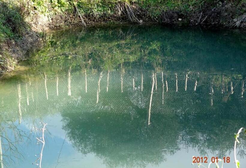 בית מלון כפרי Agriturismo Le Cammarose