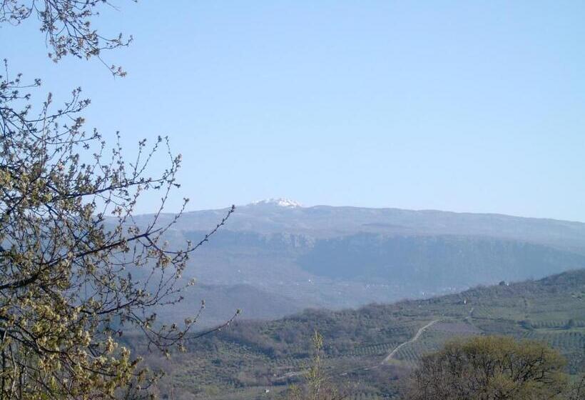 田舎風ホテル Agriturismo Le Cammarose