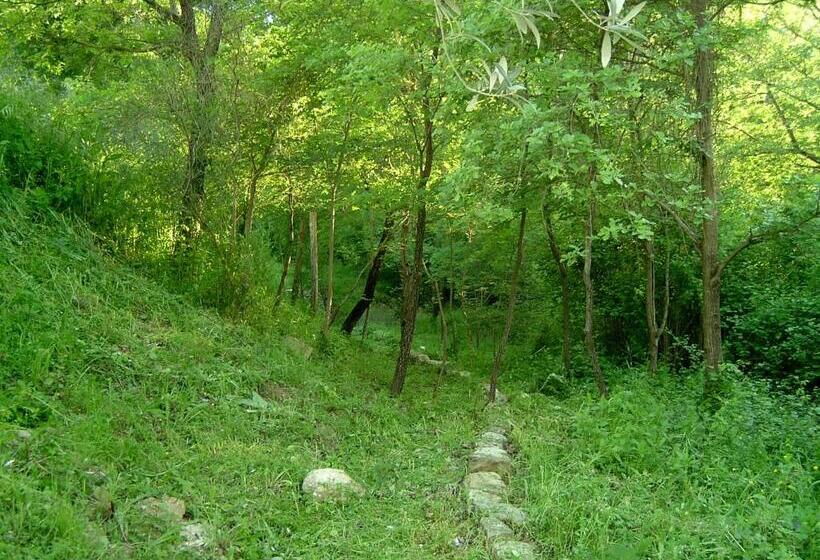 בית מלון כפרי Agriturismo Le Cammarose