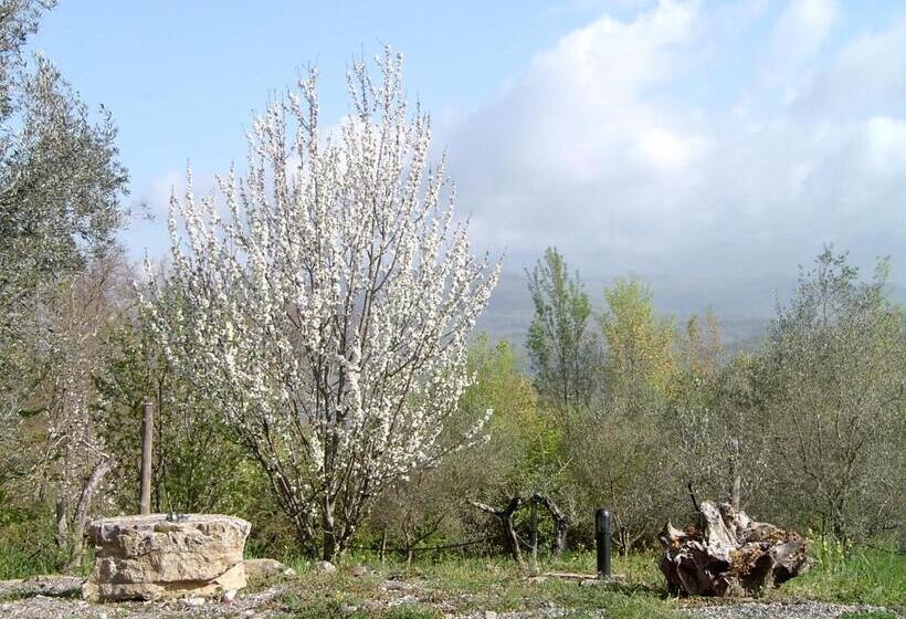 בית מלון כפרי Agriturismo Le Cammarose