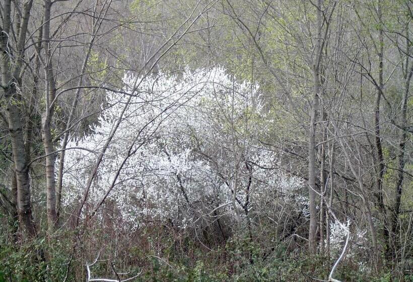 בית מלון כפרי Agriturismo Le Cammarose